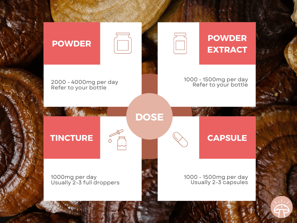 Reishi Mushroom Dosage How Much Reishi to Take